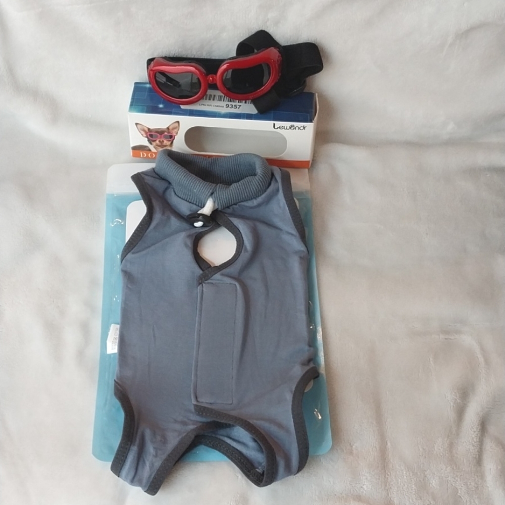 🤑🤑Red Dog Goggles with Grey Bodysuit